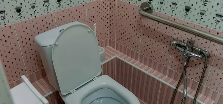 Meeting Diverse Needs With Accessible Restroom Solutions in Lakewood, CA